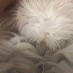 Meet your Posher, Michela